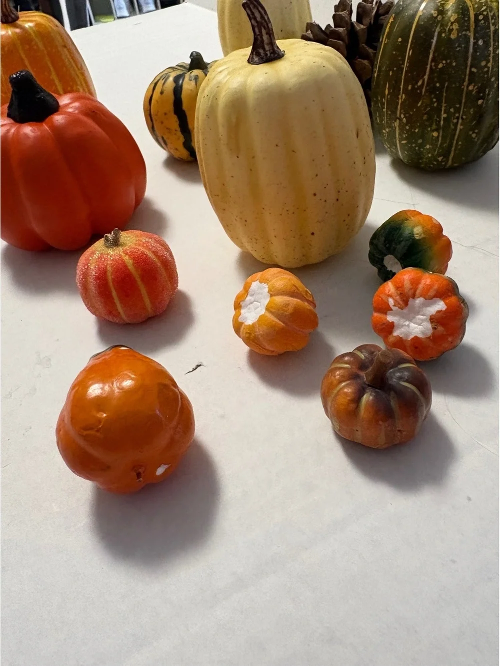 Variety of fall decor